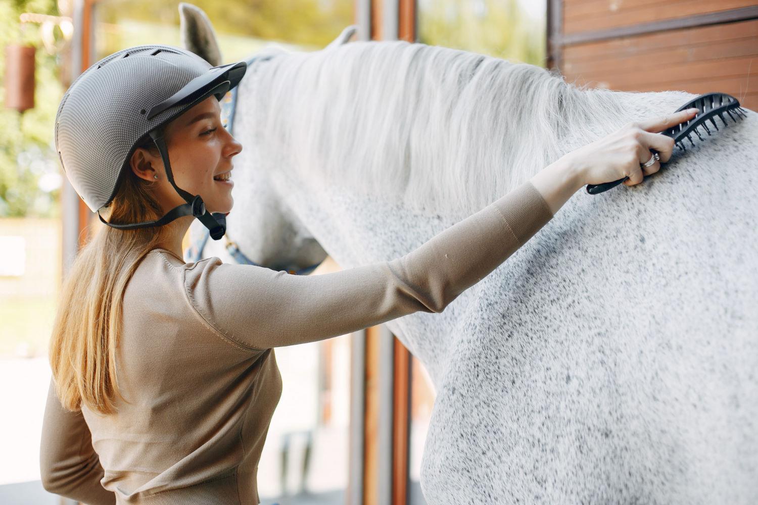 Na czym polega ubezpieczenie koni i kiedy warto je kupić?